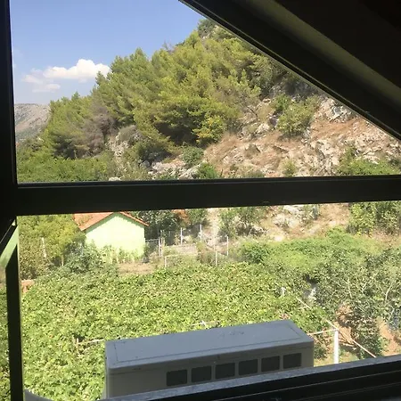 Hotel Aragosta 2 Shëngjin